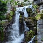 OTRA2014_0851 (August 29, 2014)